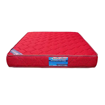 Rosefoam 5x6 10Inch Orthopedic Mattress
